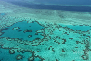 Greatbarrierreefimg_0956d1229b602da2b222f5b0bd166ef3275310