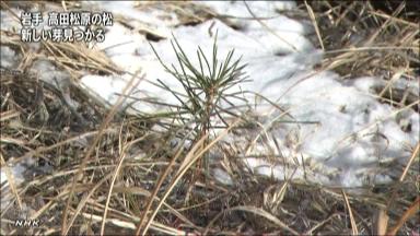 NHK10044448011_1212261613_1212261652_01