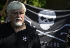 File photo of Paul Watson, Canadian founder and president of the Sea Shepherd Conservation Society, attending a demonstration in Berlin in May 2012. Watson vowed Friday to spearhead his group's next campaign against Japan's annual whale hunt, pledging to prevent a single animal being killed.