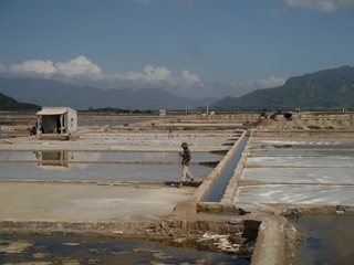 ベトナムの原発予定地に広がる塩田