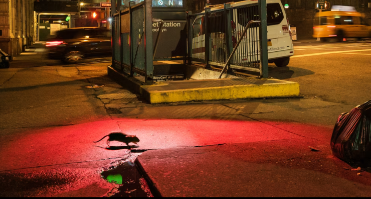 スクリーンショット 2025-02-03 192432