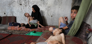 GAZA0023キャプチャ