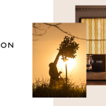 Chanelスクリーンショット 2026-03-21 003324