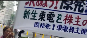 TepcoGAMキャプチャ