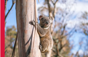 スクリーンショット 2025-09-08 225127