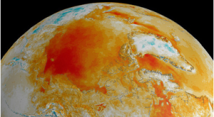 米航空宇宙局（NASA）が提供した、1981年から2008年にかけての秋の北極周辺の温度の傾向をとらえた画像（2010年4月28日撮影）。(c)AFP/Goddard Space Flight Center Scientific Visualization Studio