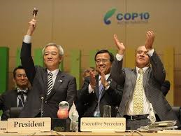 COP10での名古屋議定書採択時の様子。左は、議長国日本代表の松本龍環境大臣（当時）