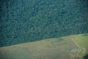 ブラジル北部パラ州で先住民の保留地との境界まで進んだ森林伐採（2013年8月）
