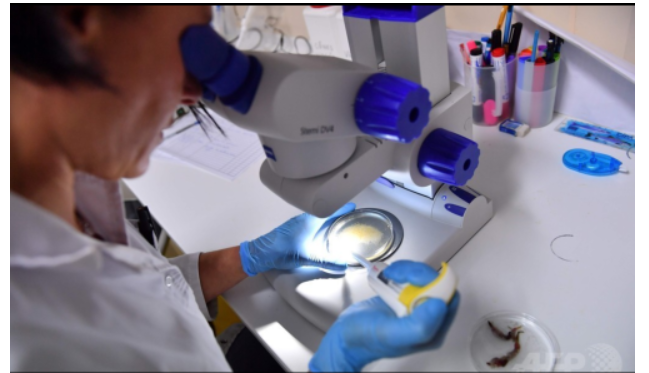 スクリーンショット 2024-12-20 154811