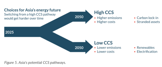 アジア諸国が取るべきCCS戦略はどちらか