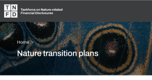 スクリーンショット 2025-03-07 005208