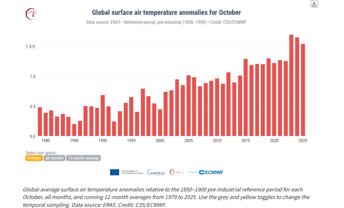 スクリーンショット 2025-11-22 000012