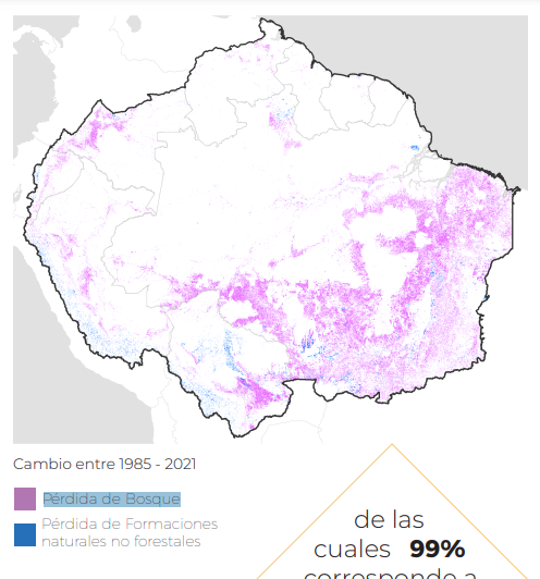 1985年から2021年にかけての森林喪失部分（ピンク部分）