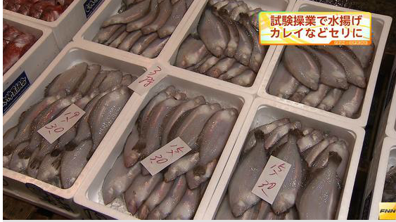 fukushimasakanaキャプチャ