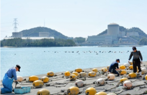 fukuimihamaキャプチャ