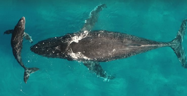 スクリーンショット 2025-03-20 101330