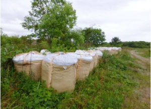 鴨川の河川敷に放置された、放射性セシウムが検出された木材チップが入った土のう袋＝滋賀県高島市（滋賀県提供）