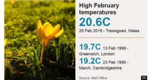 スクリーンショット 2024-12-29 233538