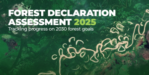 スクリーンショット 2025-10-16 215606