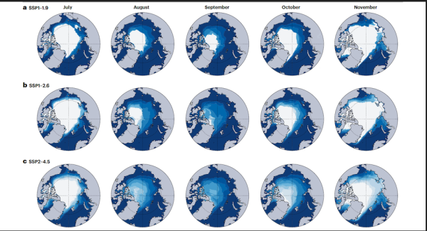 シナリオ別の北極圏海氷シミュレーション（ヤーン准教授らの論文より）