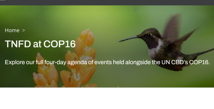 スクリーンショット 2024-10-16 211750