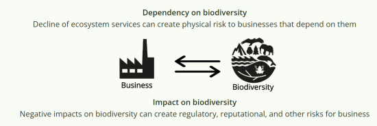 企業活動と生物多様性の「依存度」「インパクト度」の関係