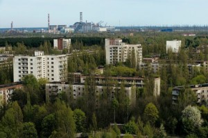 「緑豊かな町」ではない。異常に巨大化した樹木に覆われたゴーストタウン