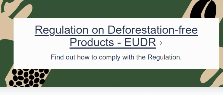 スクリーンショット 2024-10-03 155343
