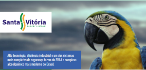 mitsuibussanキャプチャ