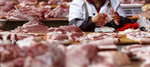 スクリーンショット 2024-12-30 143943