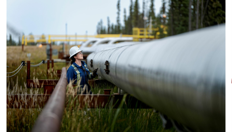 スクリーンショット 2024-11-12 011032