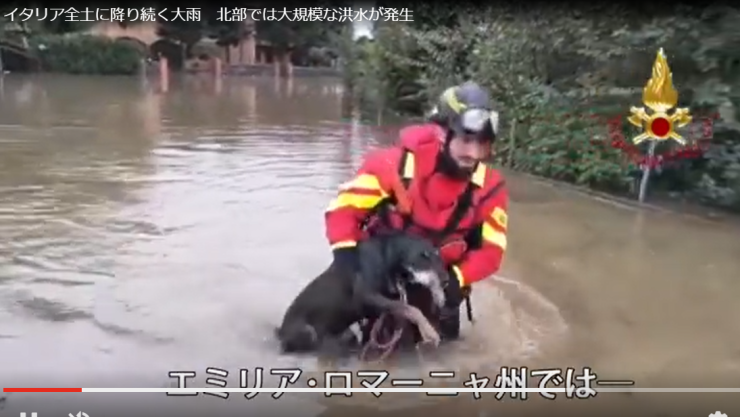 スクリーンショット 2024-12-03 225902