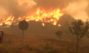 スクリーンショット 2025-09-01 184222