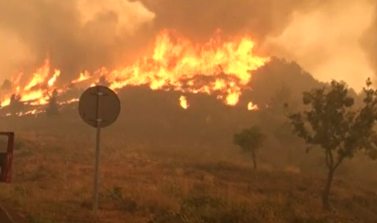 スクリーンショット 2025-09-01 184222