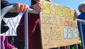 スクリーンショット 2025-07-02 174208