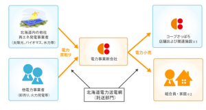 copesapporoキャプチャ