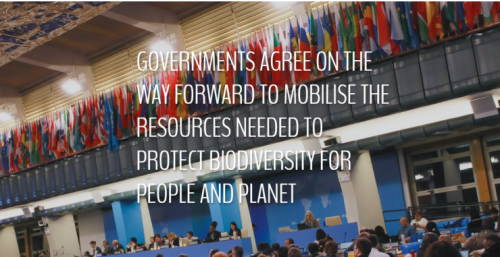 スクリーンショット 2025-03-01 204423