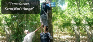 Karenキャプチャ