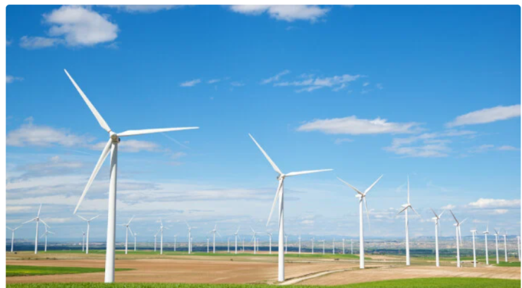 スクリーンショット 2024-12-26 142546