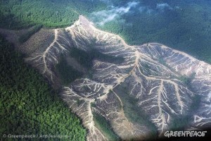 electricity66276_117284