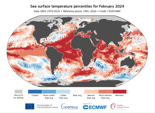 地球全体の2月の海面水温の動向（「赤い」水温上昇の領域が多くを占める）