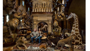 huntingキャプチャ