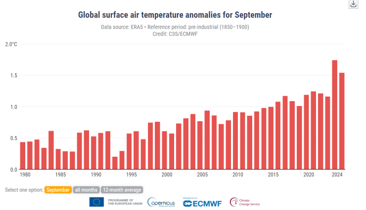スクリーンショット 2024-10-09 152735