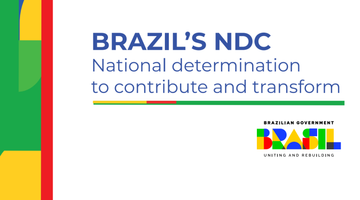 スクリーンショット 2024-11-14 215400