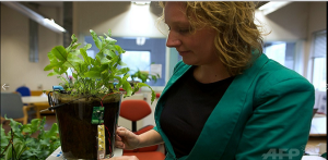 planteat1-1キャプチャ