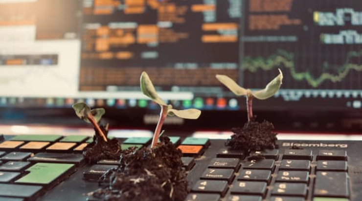 スクリーンショット 2025-03-04 015025