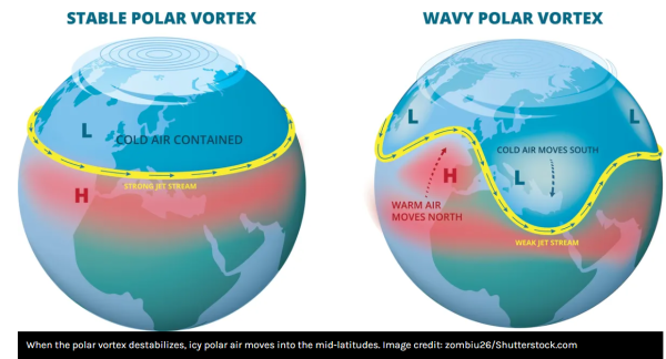 変化する極渦㊨と、安定的な極渦㊧