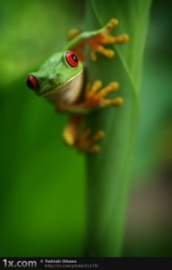 人間なんて・・・