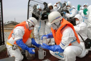 大熊町で実施された環境省の調査