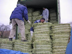 米国産の輸入干し草を取り出す鮫川村職員ら